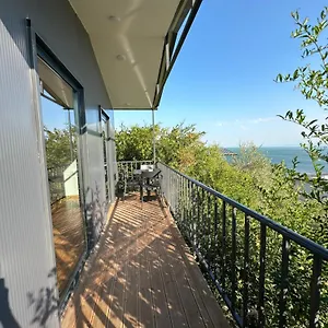 Escape Shiroke Villa